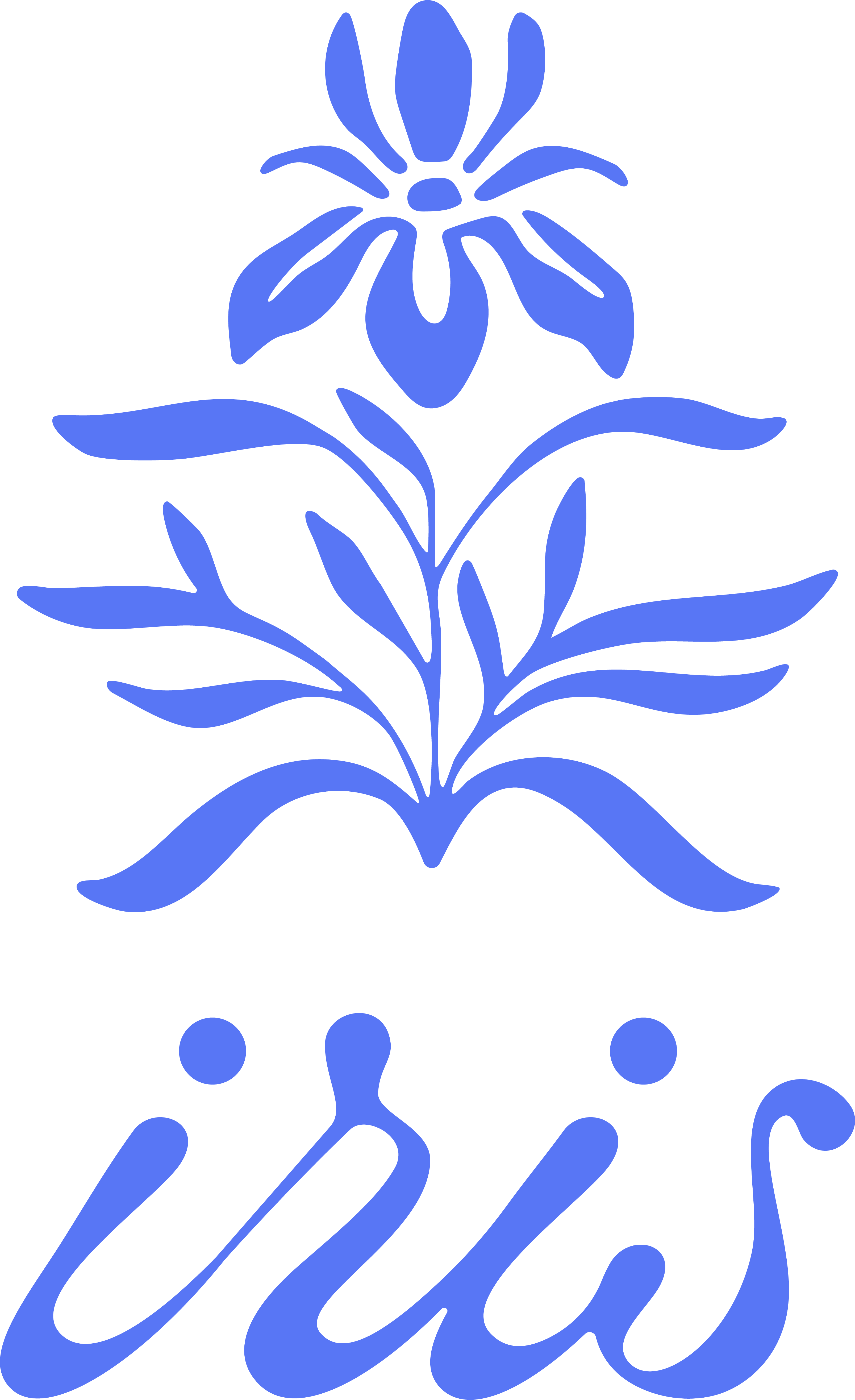 iris